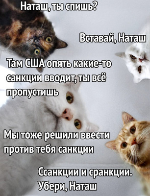 Комментарий с изображением на AdMe.Media