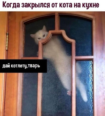 Комментарий с изображением на AdMe.Media
