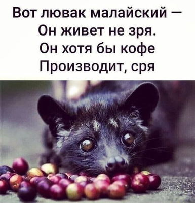 Комментарий с изображением на AdMe.Media