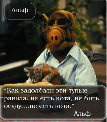 Комментарий с изображением на AdMe.Media