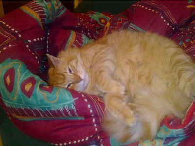 Комментарий с изображением на AdMe.Media