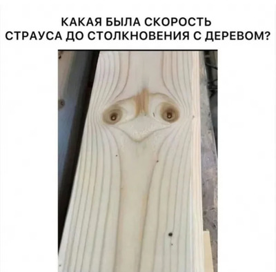 Комментарий с изображением на AdMe.Media