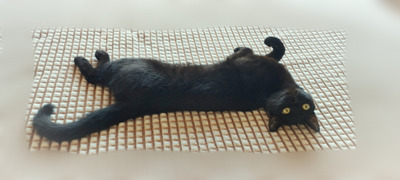 Комментарий с изображением на AdMe.Media