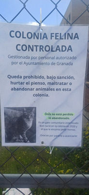 Комментарий с изображением на AdMe.Media