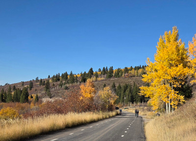 Комментарий с изображением на AdMe.Media