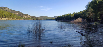 Комментарий с изображением на AdMe.Media