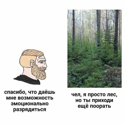 Комментарий с изображением на AdMe.Media
