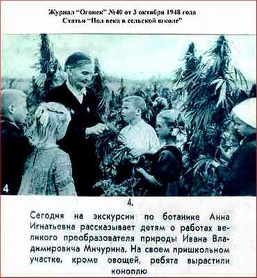 Комментарий с изображением на AdMe.Media