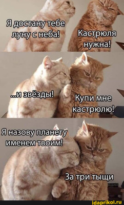 Комментарий с изображением на AdMe.Media