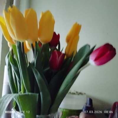 Комментарий с изображением на AdMe.Media