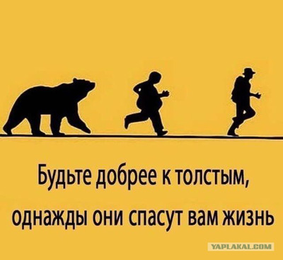 Комментарий с изображением на AdMe.Media