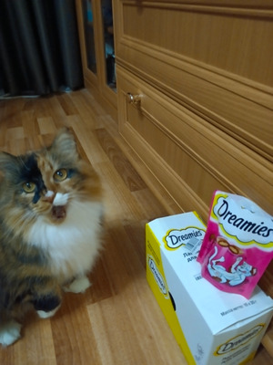 Комментарий с изображением на AdMe.Media