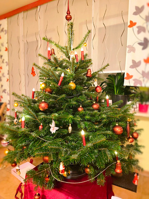 Комментарий с изображением на AdMe.Media