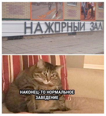 Комментарий с изображением на AdMe.Media