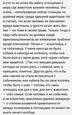 Комментарий с изображением на AdMe.Media