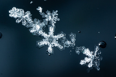 Комментарий с изображением на AdMe.Media