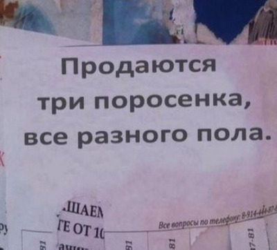 Комментарий с изображением на AdMe.Media