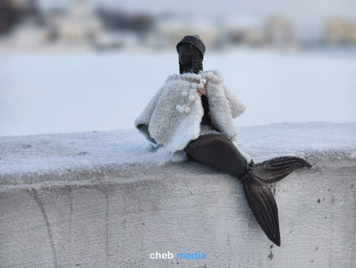 Комментарий с изображением на AdMe.Media