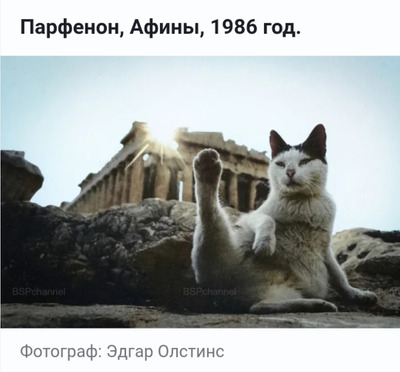Комментарий с изображением на AdMe.Media