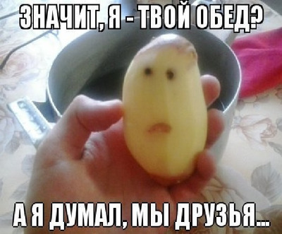 Комментарий с изображением на AdMe.Media