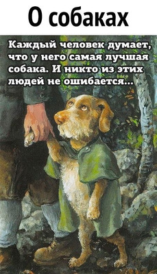 Комментарий с изображением на AdMe.Media