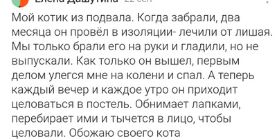Комментарий с изображением на AdMe.Media