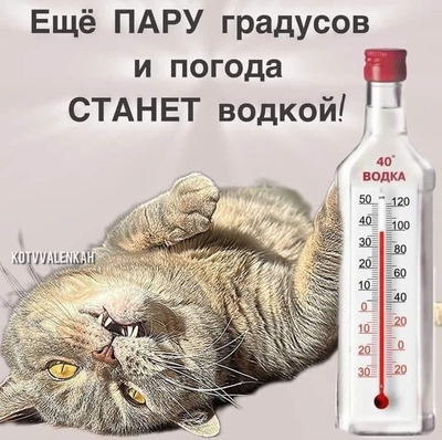 Комментарий с изображением на AdMe.Media