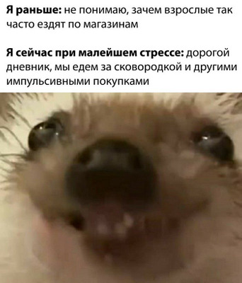 Комментарий с изображением на AdMe.Media