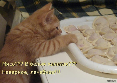 Комментарий с изображением на AdMe.Media