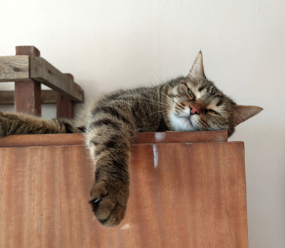 Комментарий с изображением на AdMe.Media