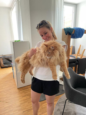 Комментарий с изображением на AdMe.Media