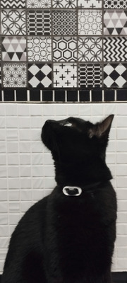 Комментарий с изображением на AdMe.Media