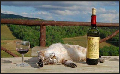 Комментарий с изображением на AdMe.Media