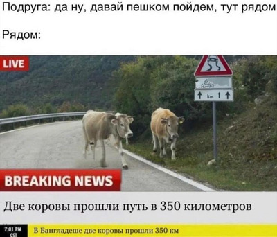 Комментарий с изображением на AdMe.Media