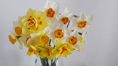 Комментарий с изображением на AdMe.Media