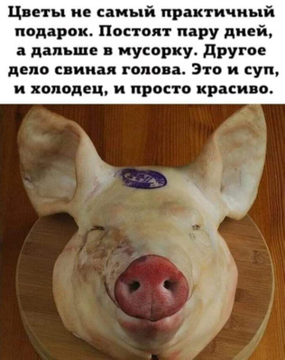 Комментарий с изображением на AdMe.Media