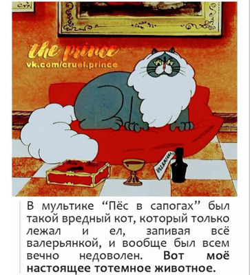 Комментарий с изображением на AdMe.Media