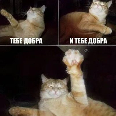 Комментарий с изображением на AdMe.Media