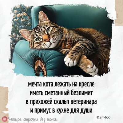 Комментарий с изображением на AdMe.Media