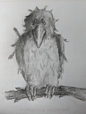 Комментарий с изображением на AdMe.Media