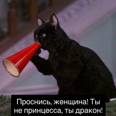 Комментарий с изображением на AdMe.Media