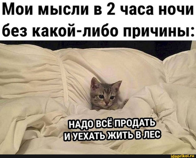 Комментарий с изображением на AdMe.Media