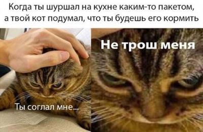 Комментарий с изображением на AdMe.Media