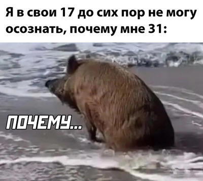 Комментарий с изображением на AdMe.Media