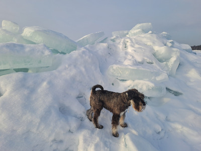 Комментарий с изображением на AdMe.Media