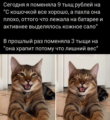 Комментарий с изображением на AdMe.Media