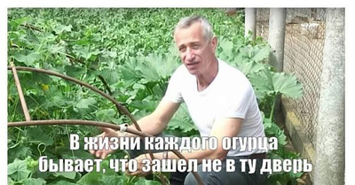 Комментарий с изображением на AdMe.Media