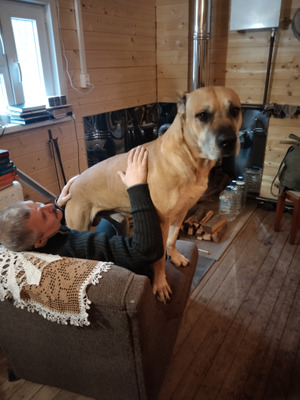 Комментарий с изображением на AdMe.Media