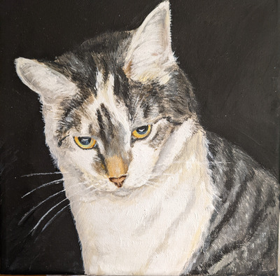 Комментарий с изображением на AdMe.Media