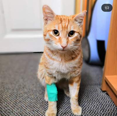 Комментарий с изображением на AdMe.Media